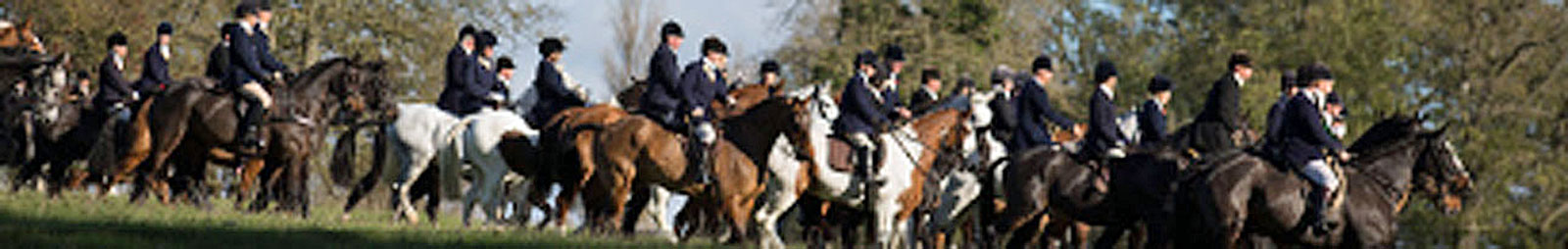 Fox Hunting