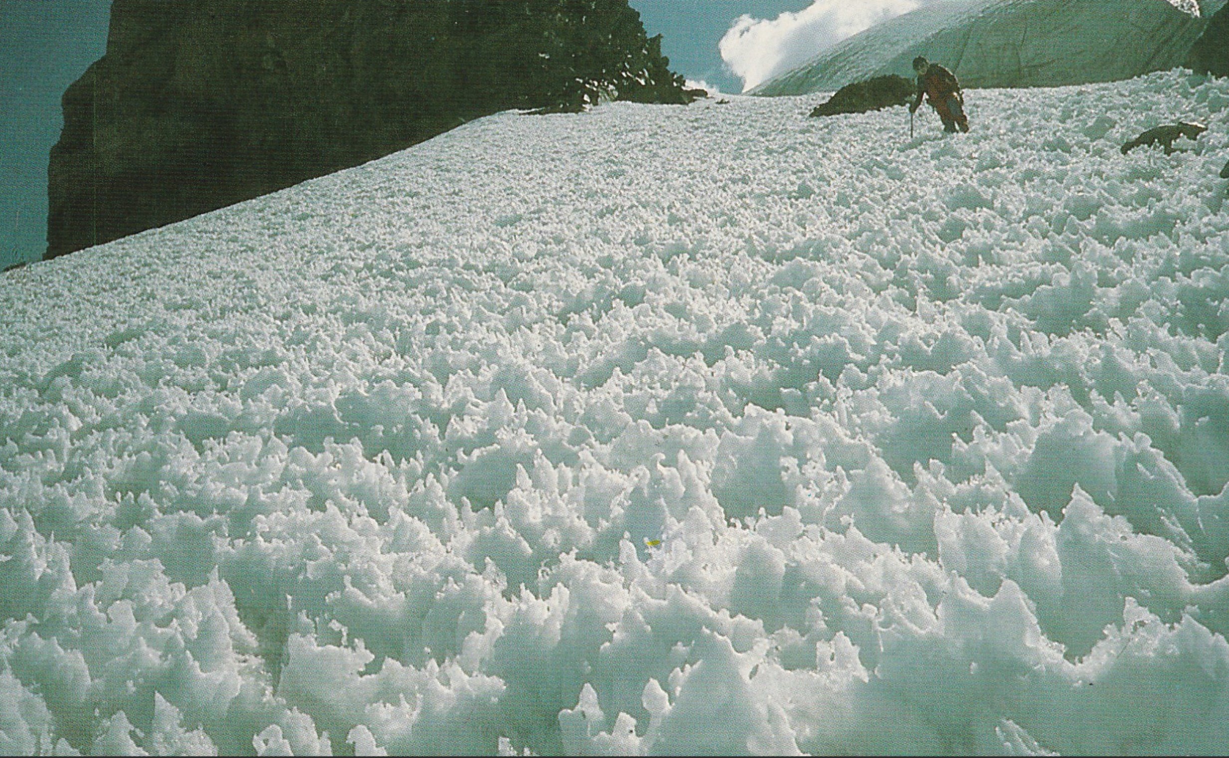 Neve Penitente